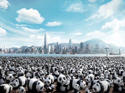 I panda invadono le città del mondo: ma si tratta di panda finti…scoprite cosa c’è dietro!