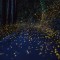 Hiramatsu Tsuneaki: l'oscuro e misterioso fotografo delle lucciole